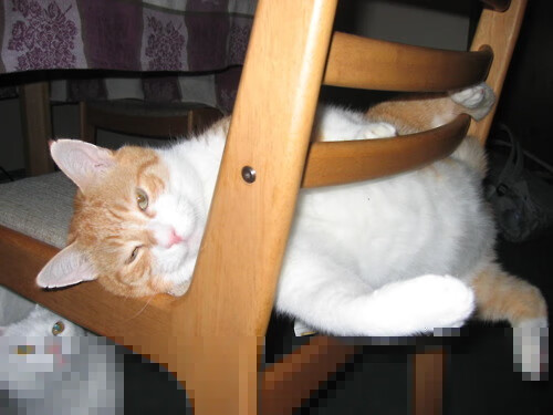 东亚风暴席卷英伦!日本4-1火力全开压制三狮军团,迪马利亚2射1传状态炸裂