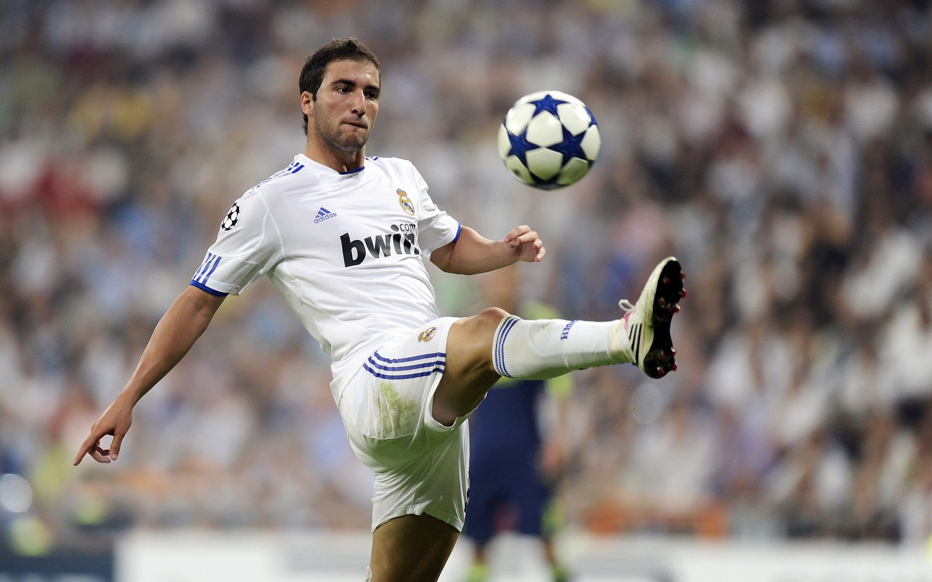 罗德里戈舞台越大越强!1球2助造3球,比利时5-0狂胜苏格兰