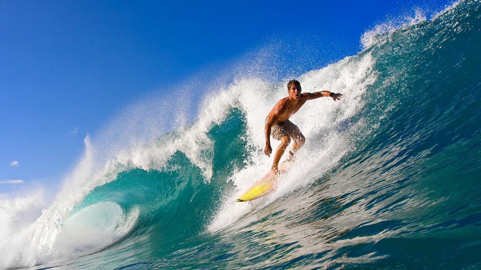 武神降世！武切维奇存在感拉满轰29+14，猛龙爆冷撕裂热火防线