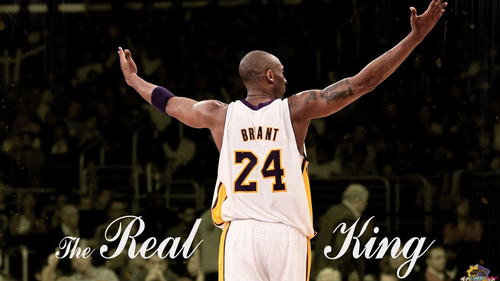 2026世界杯之夜，字母哥，那个在绝境中点燃希腊神话的男人